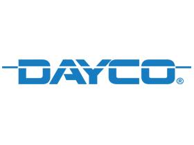 Dayco 6PK910 - PK AUTO