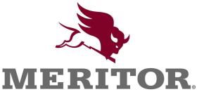 Meritor 212009201 - DUST COVER